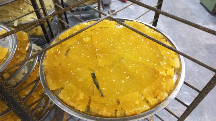 نبات |  نبات تخت زعفرانی و سفید